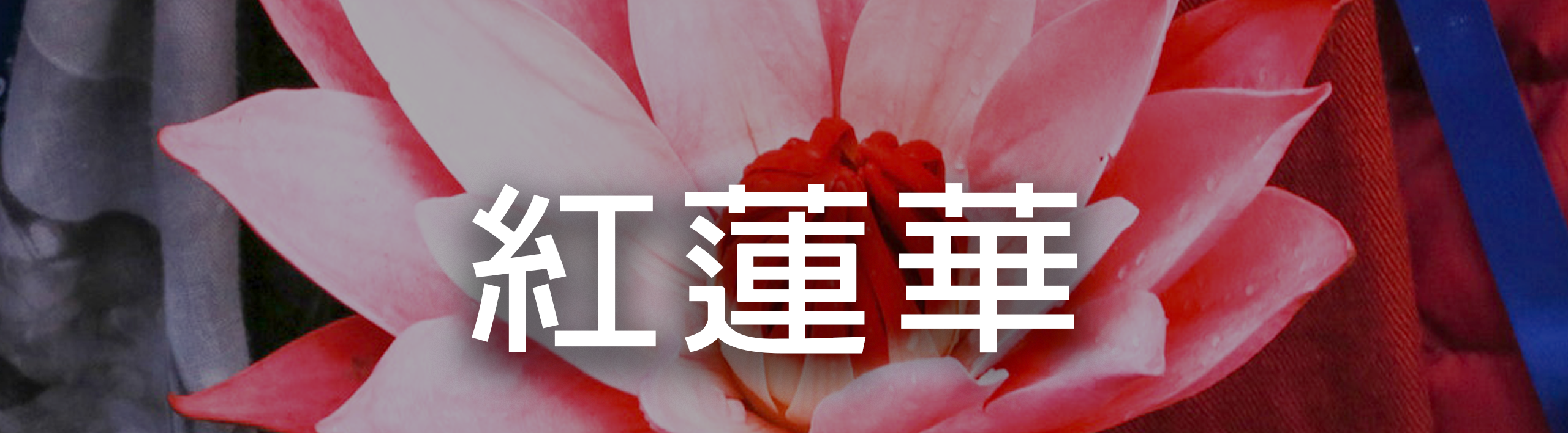紅蓮華 Banner